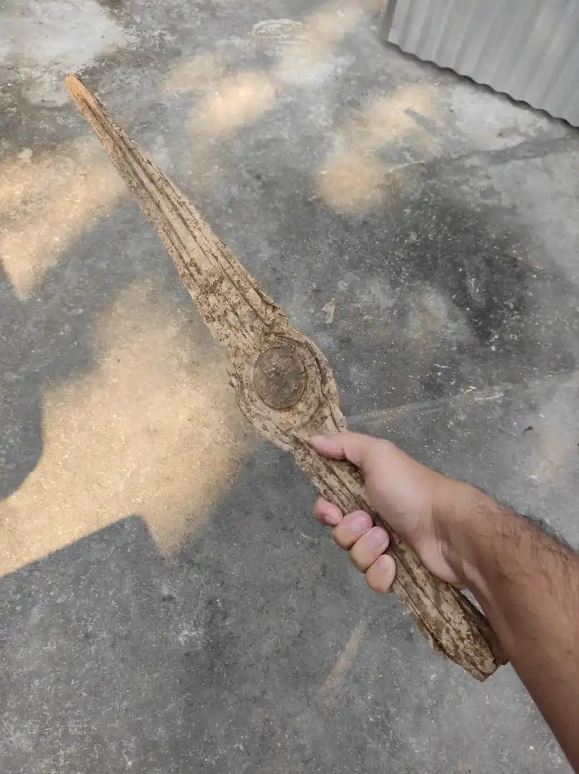 The Proclamation of the Stick Nation's New King