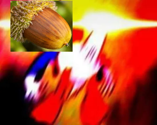 A close-up photo of a brown acorn with its cap attached is placed in the top-left corner against a vibrant, abstract…