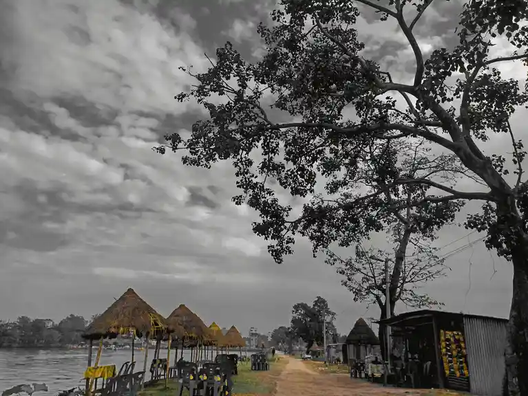 A black-and-white photo of a lakeside path lined with thatched-roof huts and plastic chairs, with a large tree on the right…