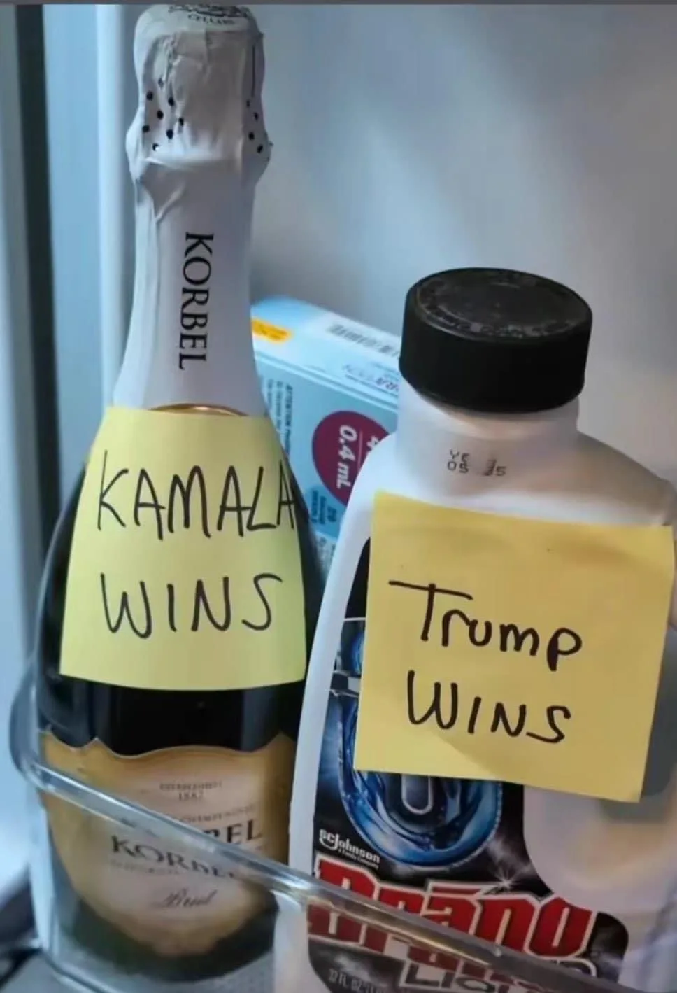 A champagne bottle and a bottle of cleaning solution sit side-by-side in a refrigerator, each with a yellow sticky note. The…