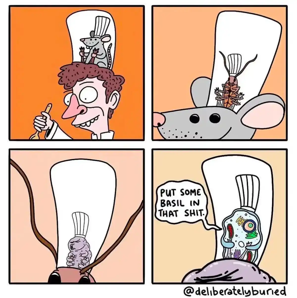 A four-panel comic strip shows a chef with a mouse wearing a chef's hat on his head, then the mouse is replaced by a…