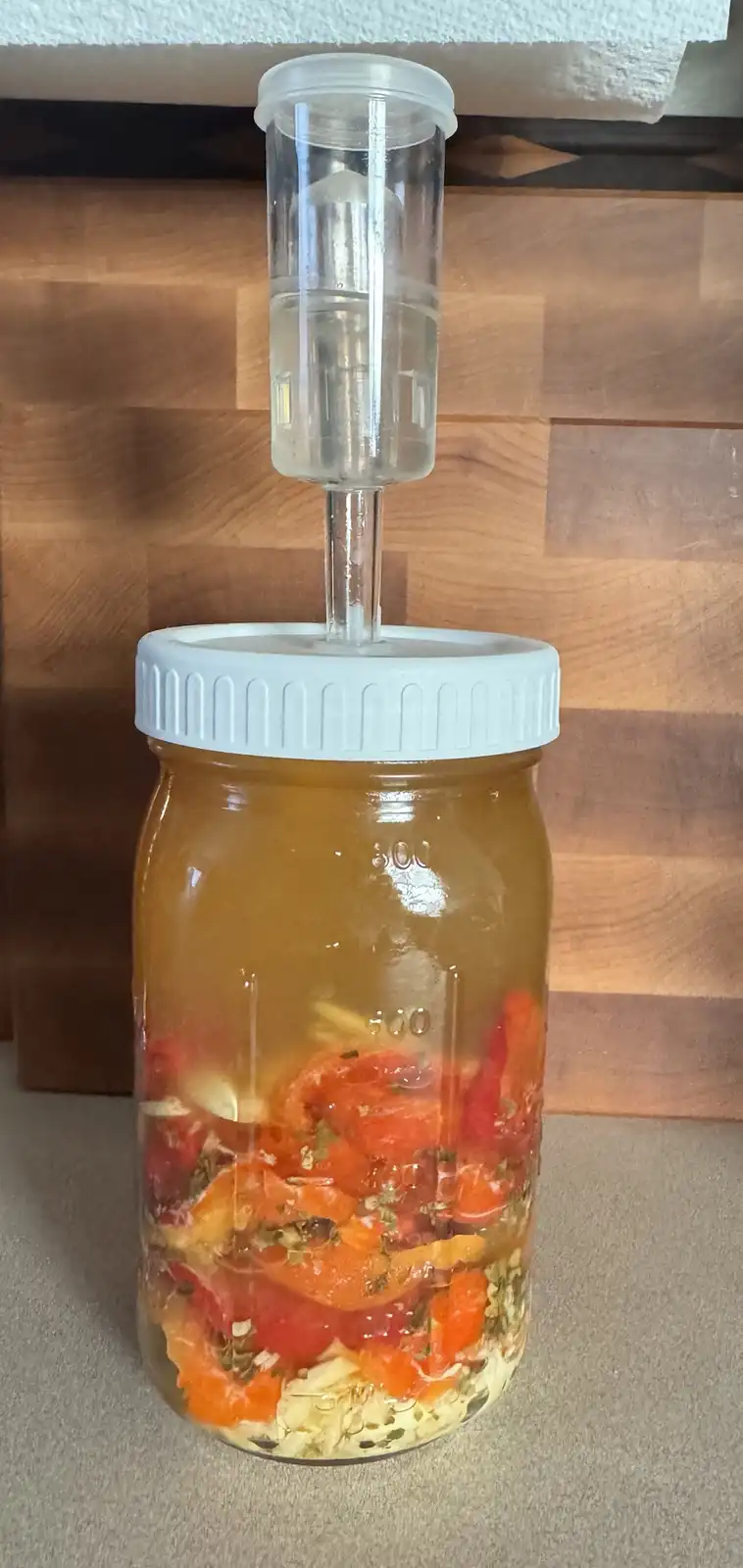 A glass mason jar filled with sliced red and orange vegetables, garlic, and herbs submerged in brine, topped with a white…