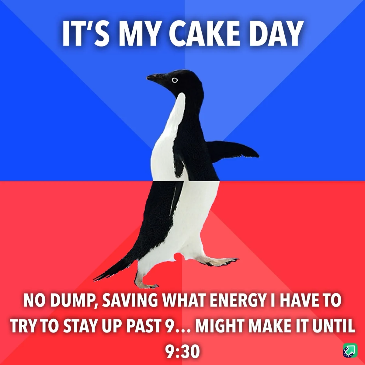 A penguin stands centered against a blue and red background, with white text at the top reading 'IT'S MY CAKE DAY' and more…