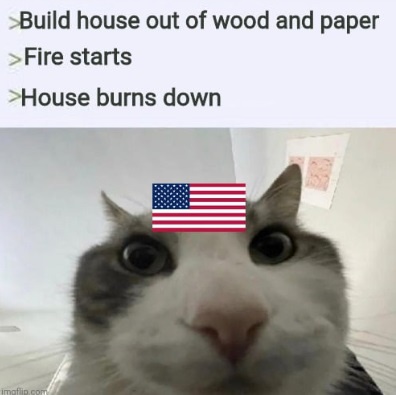 A close-up photo of a wide-eyed, startled-looking cat with an American flag digitally placed over its eyes. Above the cat…