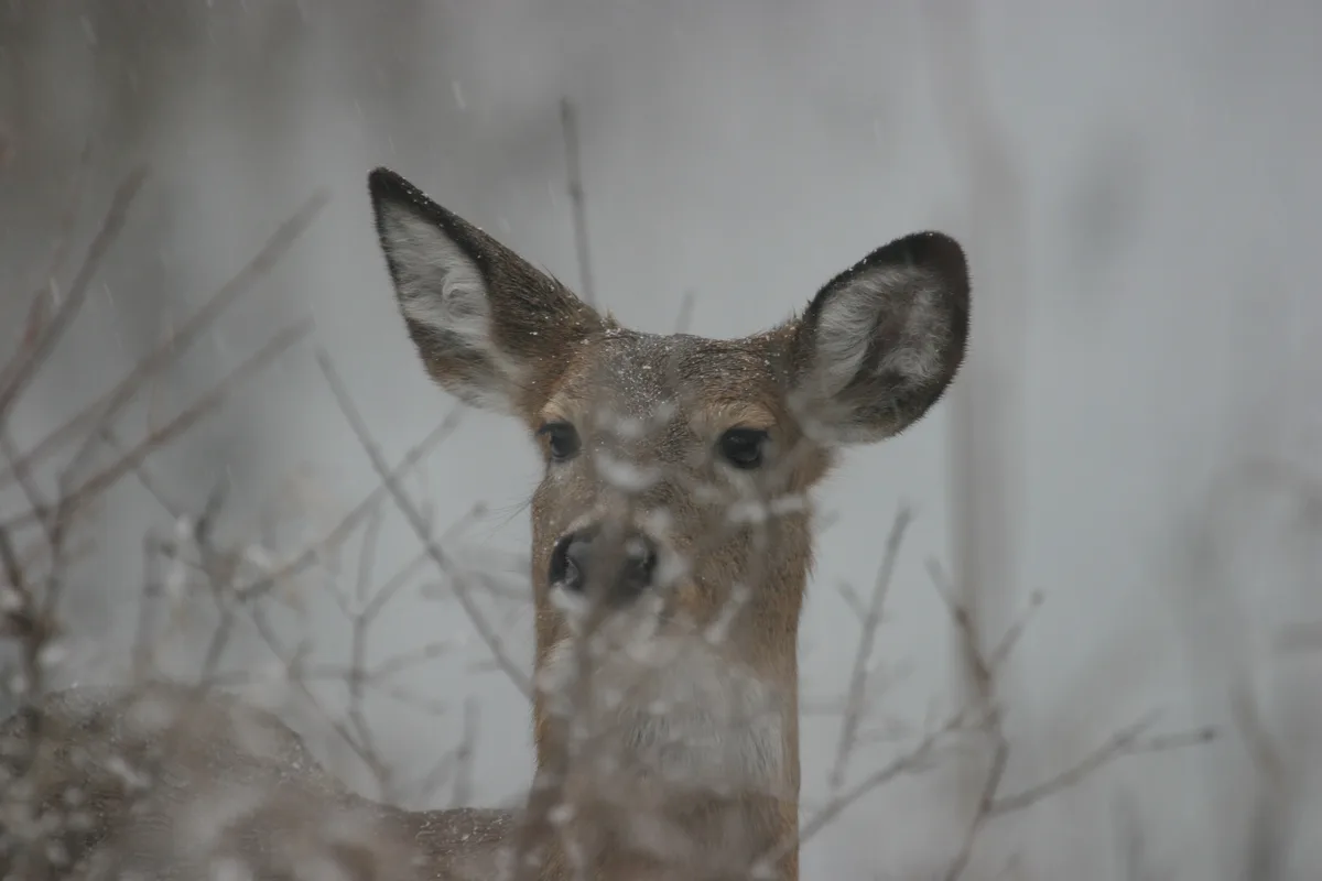 Grab Your Cocoa: Let's Reminisce About Our Nature Hikes!