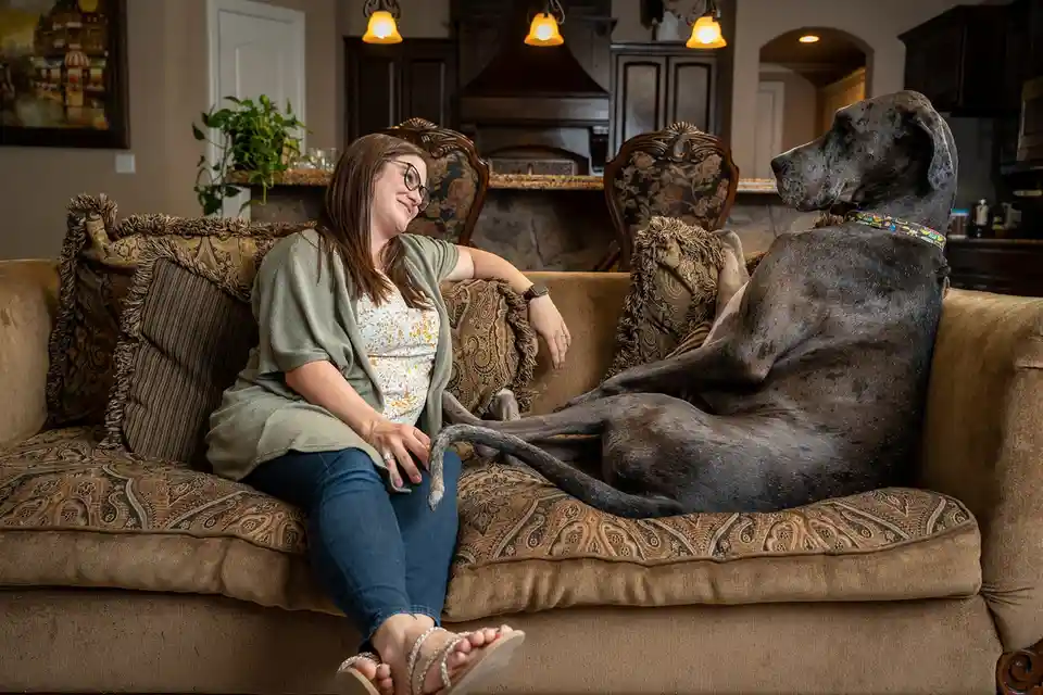 A woman wearing glasses and a green cardigan sits on a patterned couch next to a very large, dark grey Great Dane. The dog…