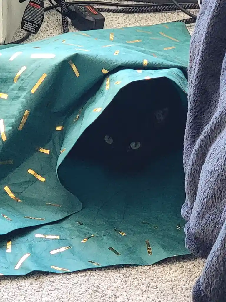 The void has a special fondness for her Amazon bag...
