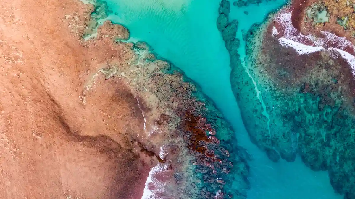 Kauai, Hawaii's "Garden Isle", is bounded by sandy saltwater scenes, but its inland is lush and fertile, centered on Mount…