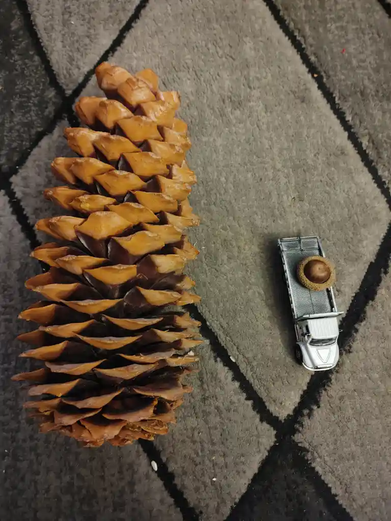 A large, brown pinecone lies on a gray and black patterned rug next to a tiny silver toy truck. The truck's flatbed carries…