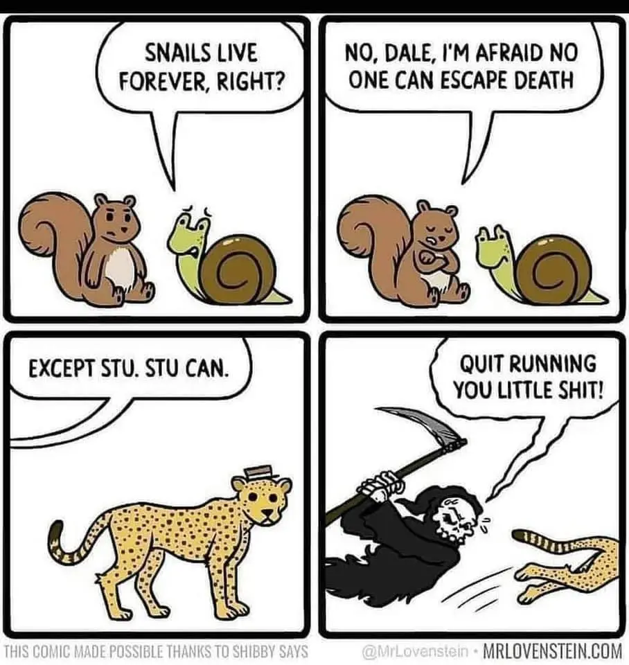 A four-panel comic strip featuring a squirrel and a snail discussing immortality. The snail claims snails live forever, but…