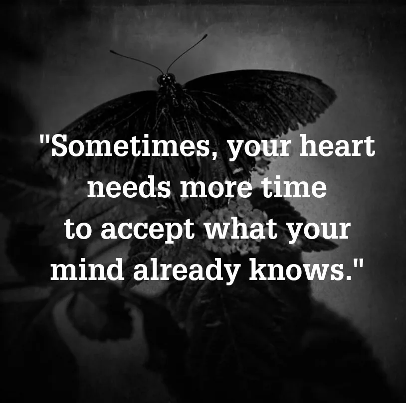 A black and white photo of a dark butterfly resting on a flower, overlaid with white text that reads: 'Sometimes, your heart…