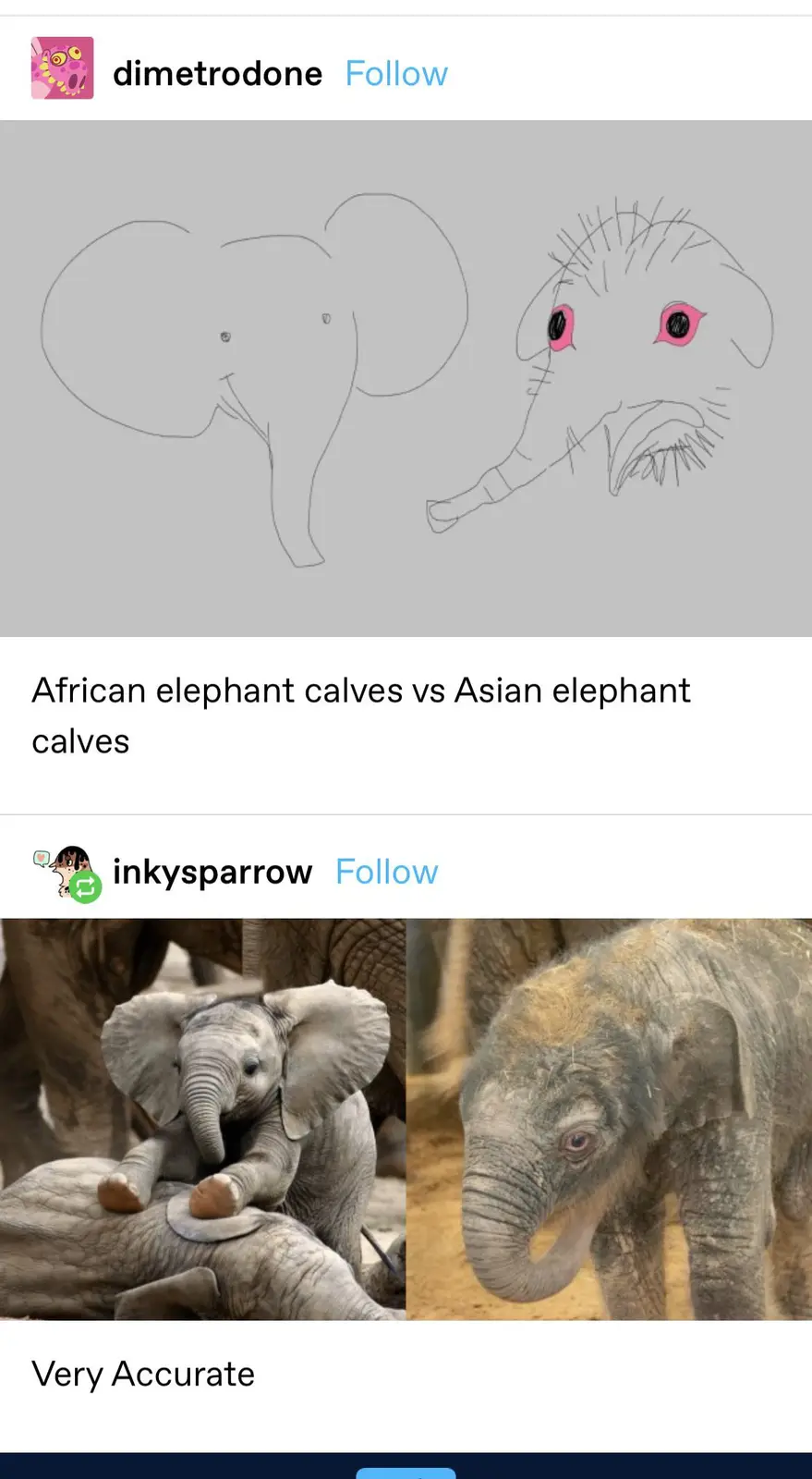 The image displays two side-by-side comparisons: the top shows a simple line drawing of an African elephant calf with large…