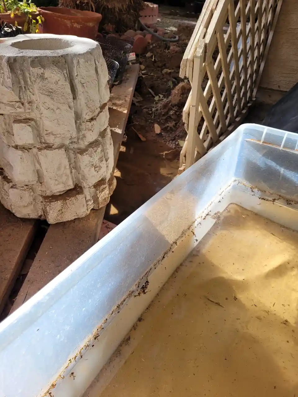 Someone just claimed that the ground in Arizona drinks up water instantly!