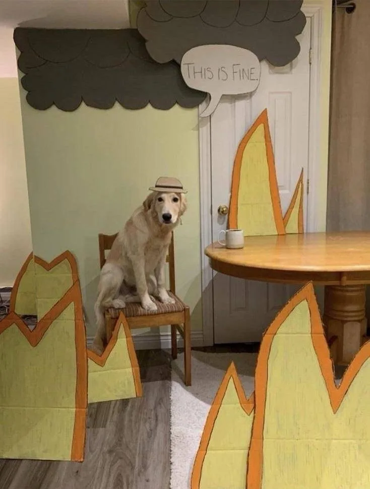 Everything's Okay, Right? This is Fine!