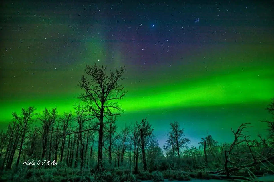 A stunning photograph of the aurora borealis glowing in vibrant green across a starry night sky, with the dark silhouettes…