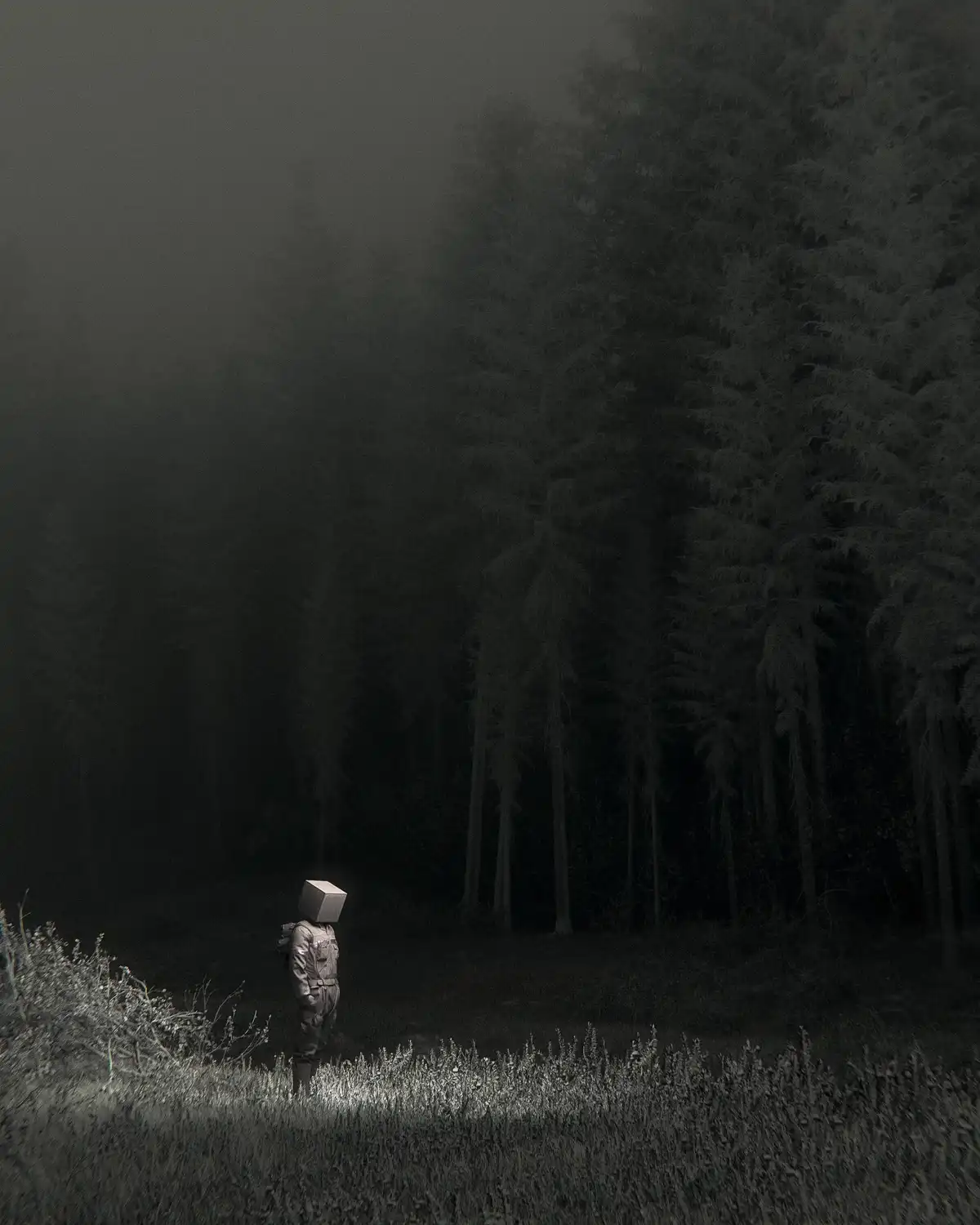 A person in a dark, moody forest stands alone, their head replaced by a plain gray cube, evoking a surreal, robotic…