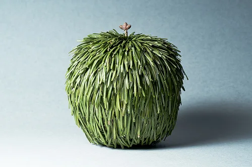 A spherical object resembling an apple, but entirely covered in green, spiky, grass-like blades, with a small brown stem on…