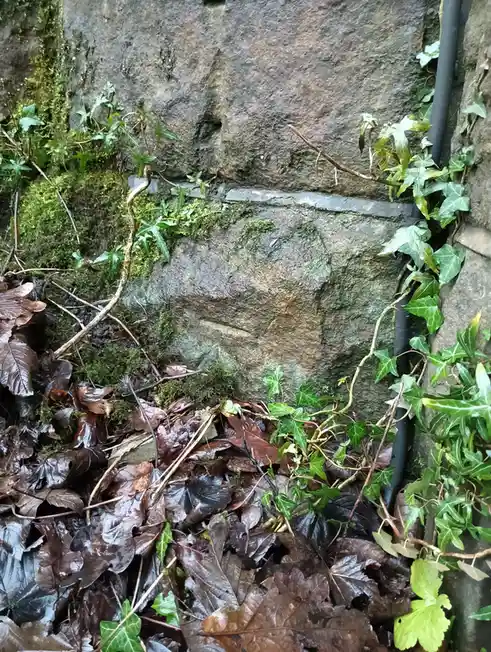 A close-up photo shows a mossy, weathered stone wall with ivy and fallen leaves. A faint, eroded carving on the stone…