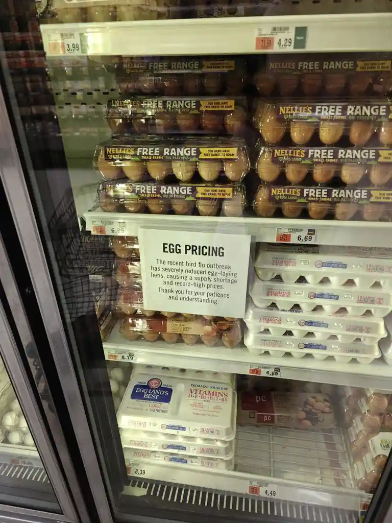 A refrigerated grocery store egg aisle displays various brands of eggs with high price tags. A white sign in the center…