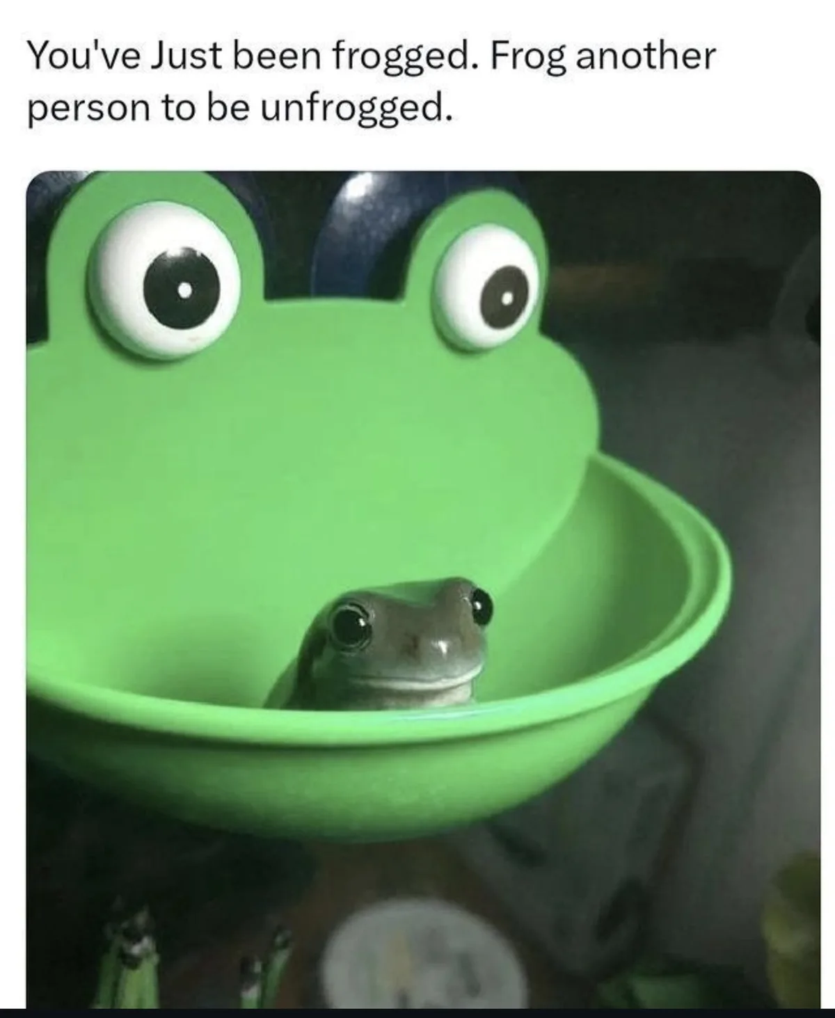 You're tagged! Now what?