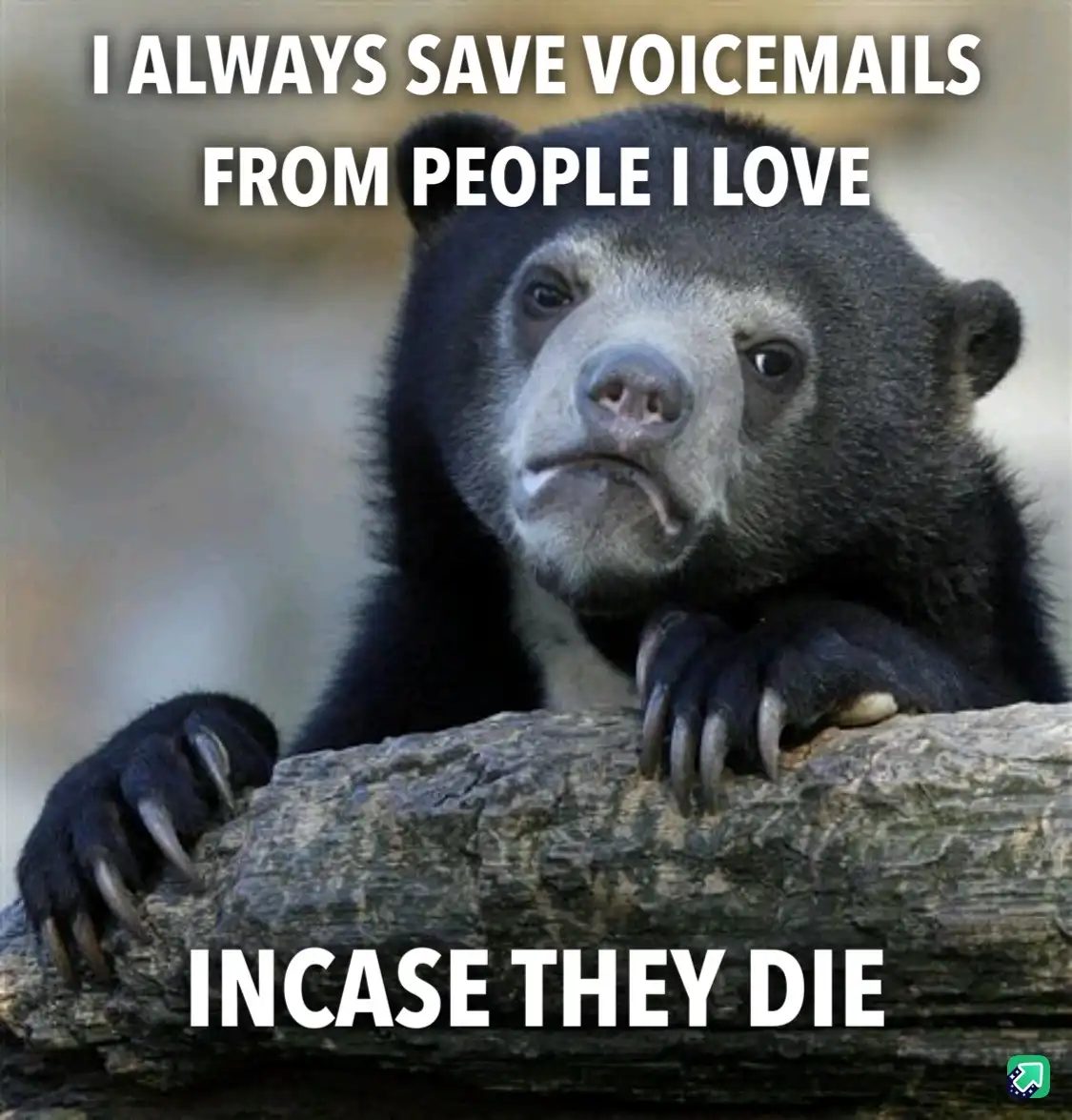 A close-up photo of a sad-looking sun bear resting its paws on a log, with white bold text overlaid at the top and bottom…