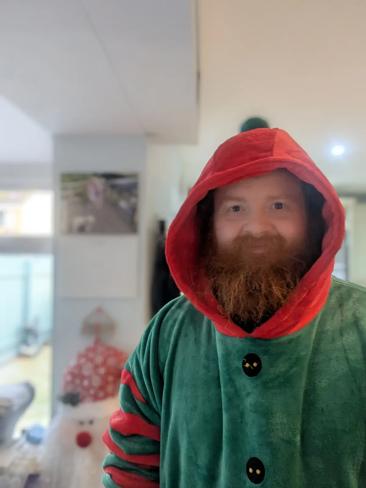 A man with a long brown beard wears a green and red elf costume with a red hood and black buttons, standing indoors near…