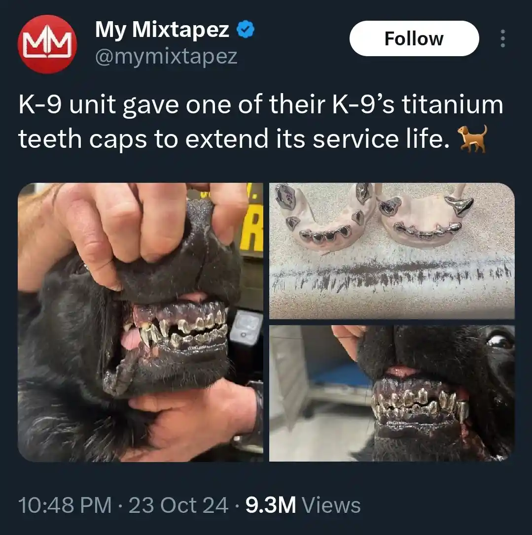 A social media post shows a black dog with multiple titanium caps on its teeth, with close-up images of the capped teeth and…