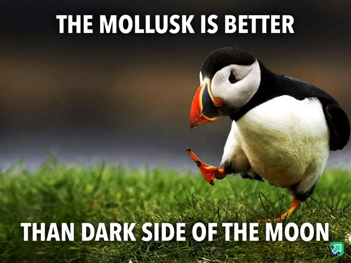 A puffin stands on green grass, looking down with one foot lifted, as if contemplating. White bold text at the top reads…