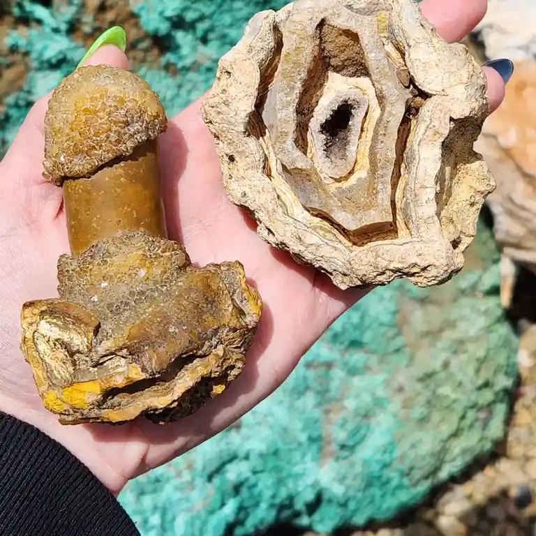 A hand holds two geodes, one with a rough, crystalline exterior and the other split open to reveal a hollow, layered…