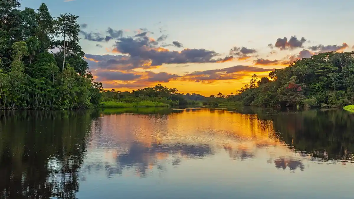 In Ecuador's lush rainforest, a serene lagoon glows with a warm sunset hue. Although over 2,000 miles from the Amazon…