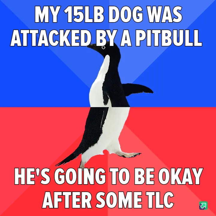 A penguin stands centered against a blue and red background, split horizontally. The top text reads 'MY 15LB DOG WAS…