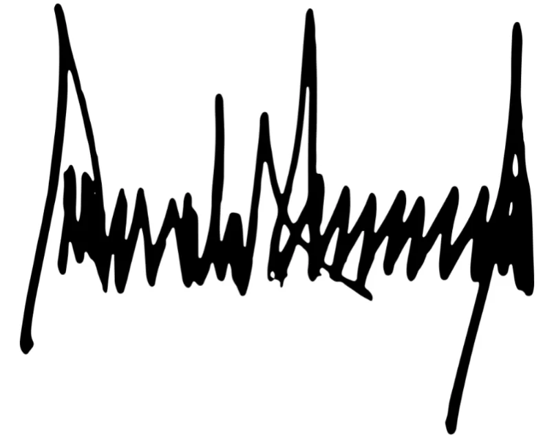 The image displays a black, cursive handwritten signature that reads 'Daniel Messinger' against a plain white background…