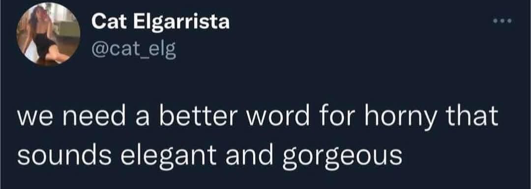 A screenshot of a tweet from user Cat Elgarrista (@cat_elg) showing a profile picture of a woman in a black top. The tweet…