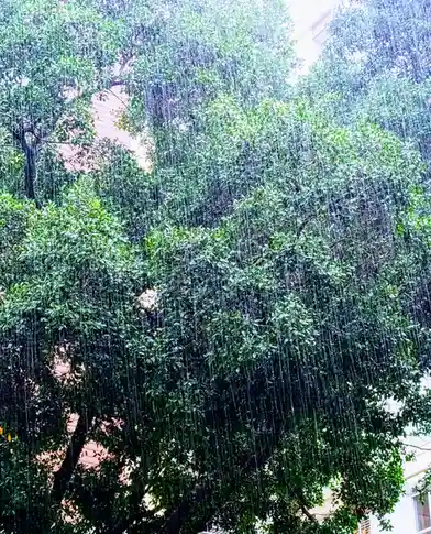 Rainy Day Vibes: Finding Joy in the Drizzle