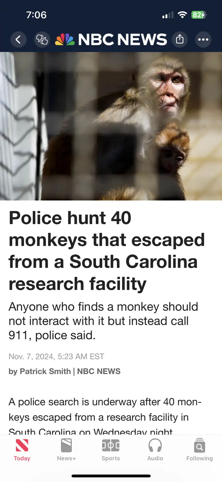 A screenshot of an NBC News article shows a photo of two monkeys, one adult and one juvenile, viewed through a barred…