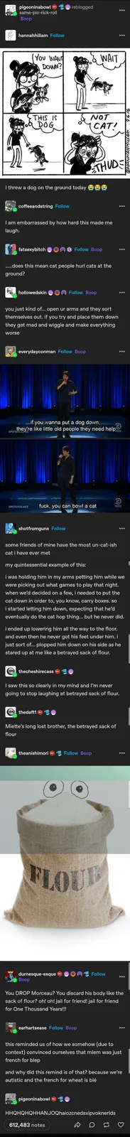 A four-panel comic shows a girl holding a small animal, thinking it's a cat, then realizing it's a dog and dropping it with…