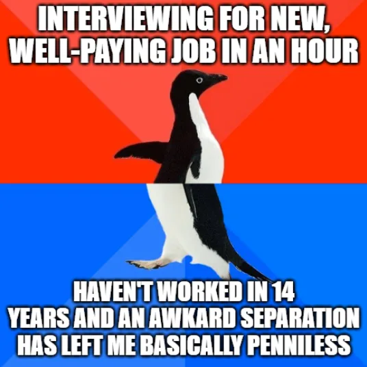 A penguin stands against a red and blue background, split horizontally. The top text reads 'INTERVIEWING FOR NEW…