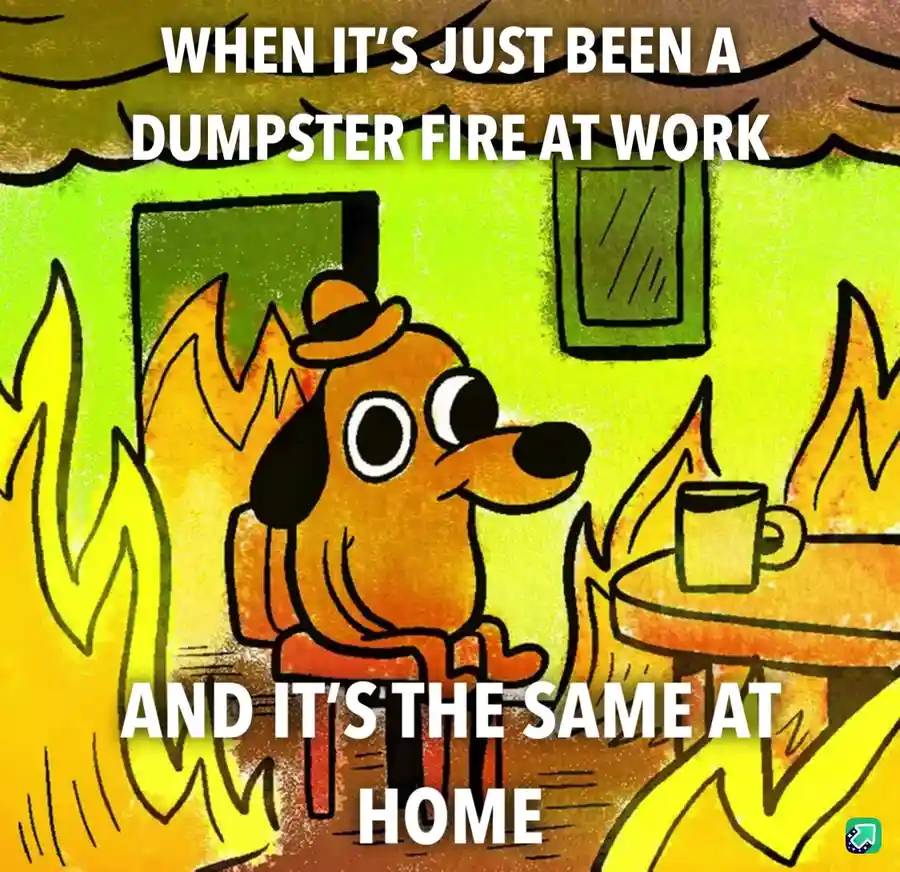 A cartoon dog wearing a hat sits calmly in a room engulfed in flames, with a mug on a table beside it. The text overlaid…