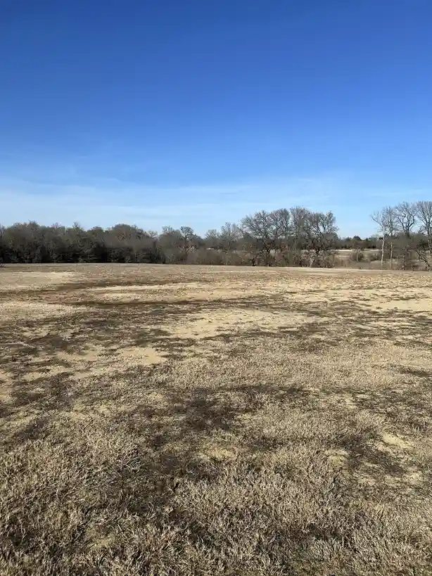 A Serene and Empty Field Awaits