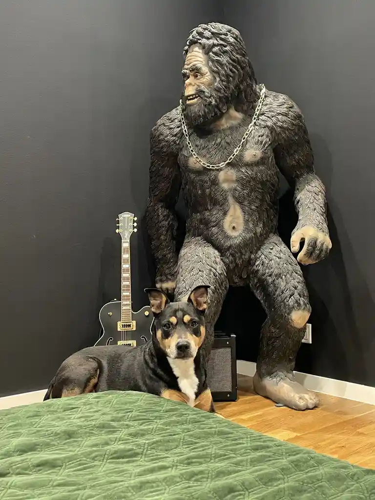A large, realistic Bigfoot statue wearing a gold chain sits on a wooden floor next to a black and tan dog lying on a green…