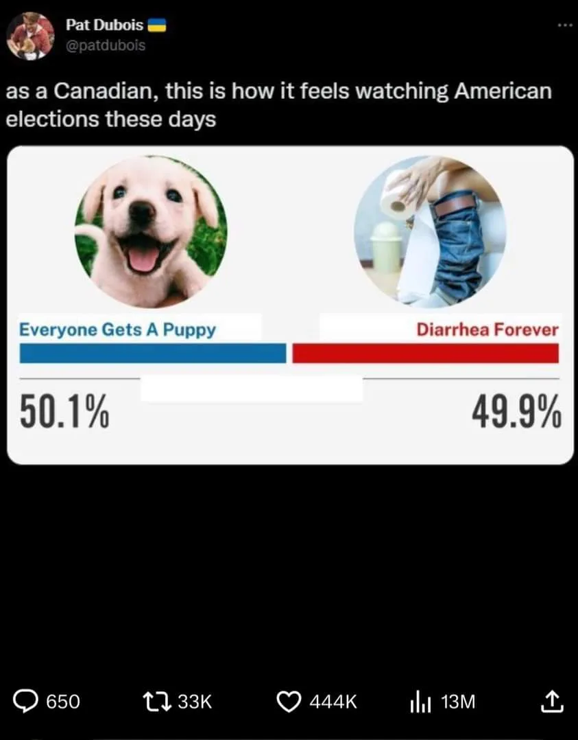 A screenshot of a tweet by Pat Dubois showing a mock election poll with two options: 'Everyone Gets A Puppy' (50.1%)…