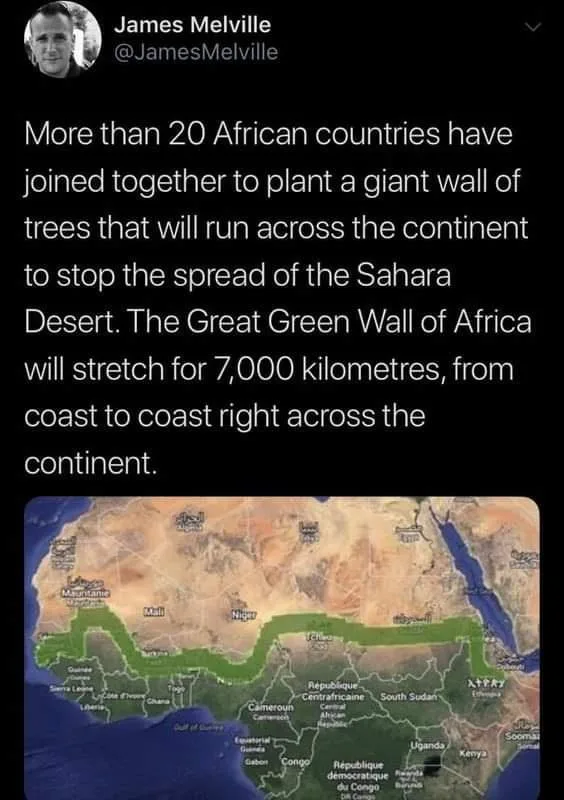 Isn't it amazing for wildlife too? Sharing this in case I'm not the only one who was clueless!