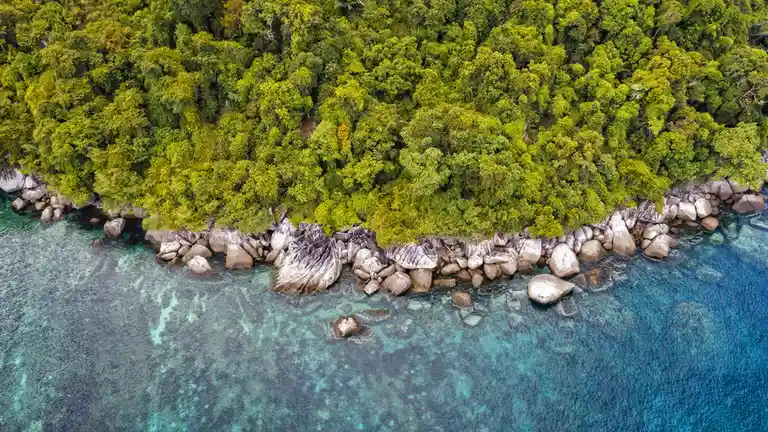 Tioman Island, covered in dense greenery and rugged mountains, is said to be the resting place of a dragon princess who…