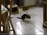 Dive into the Retro GIF Collection: Part 16!