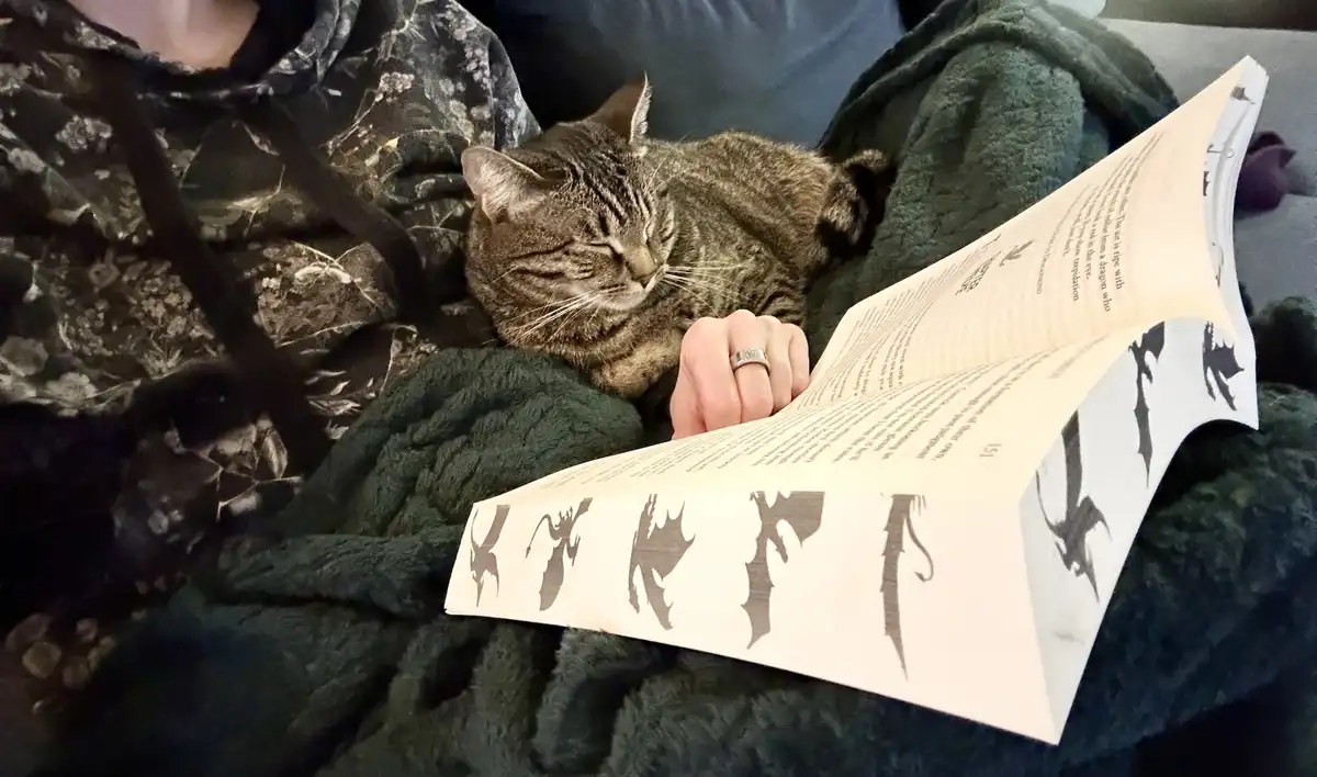A person in a dark patterned hoodie is lounging on a couch under a green blanket, holding an open book with dragon…