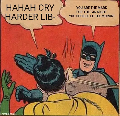 A comic book-style image shows Batman from behind, punching Robin in the back of the head. Batman's speech bubble reads 'YOU…