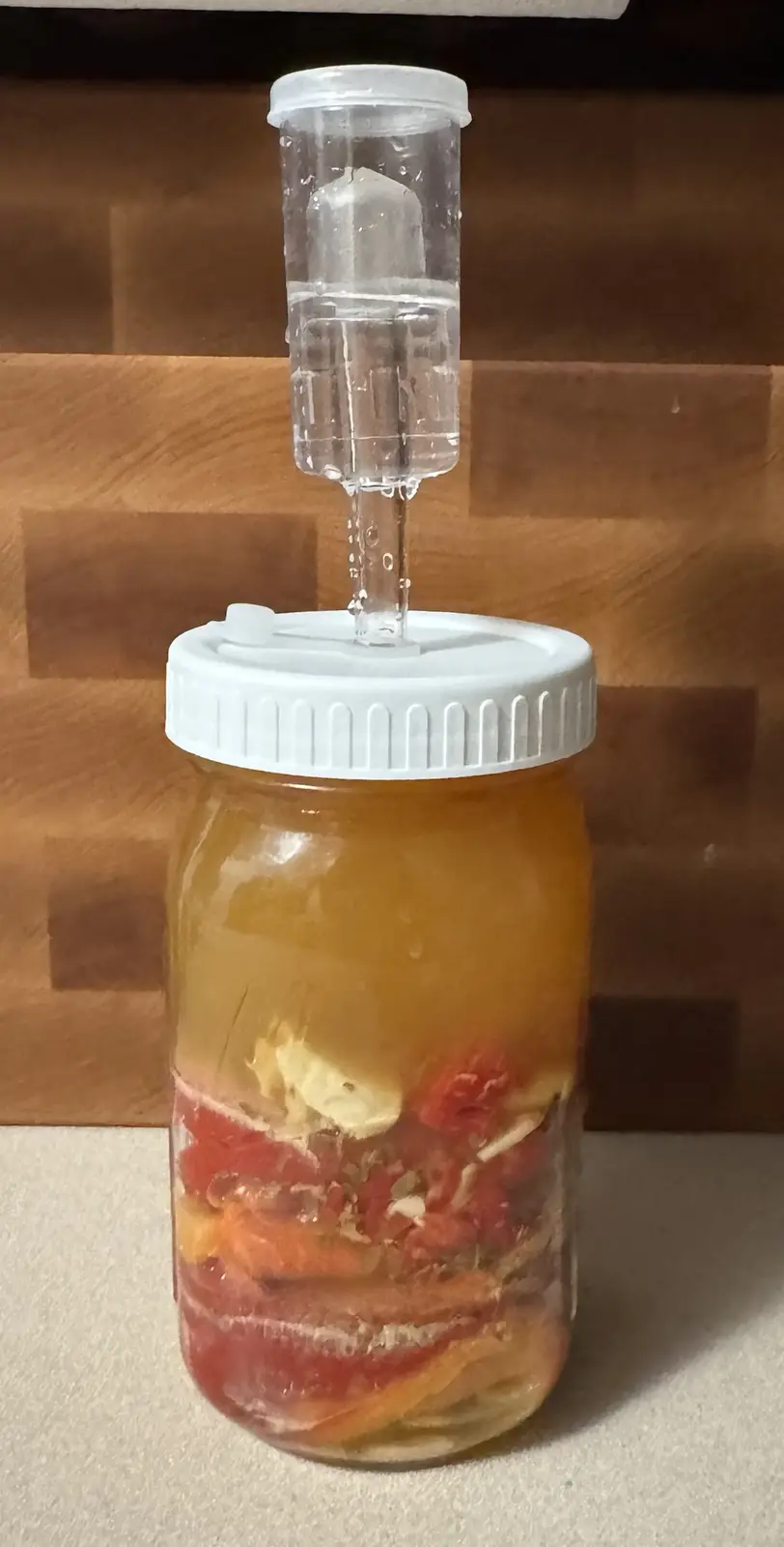 A glass jar with a white lid and a clear airlock tube on top sits on a countertop. The jar contains a yellowish liquid with…