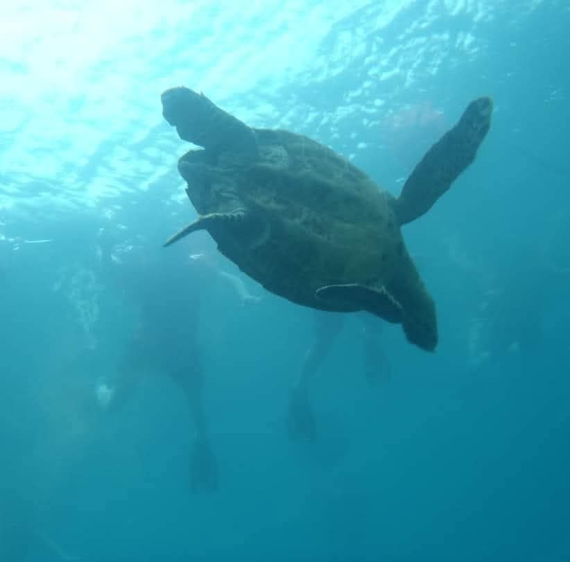 Exploring the Beauty of Costa Rica