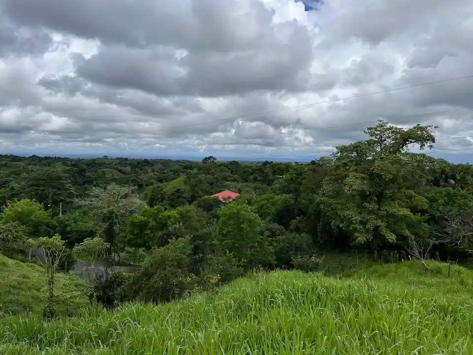 A scenic photo of a lush green hillside with dense trees, tall grass in the foreground, and a distant red-roofed house under…