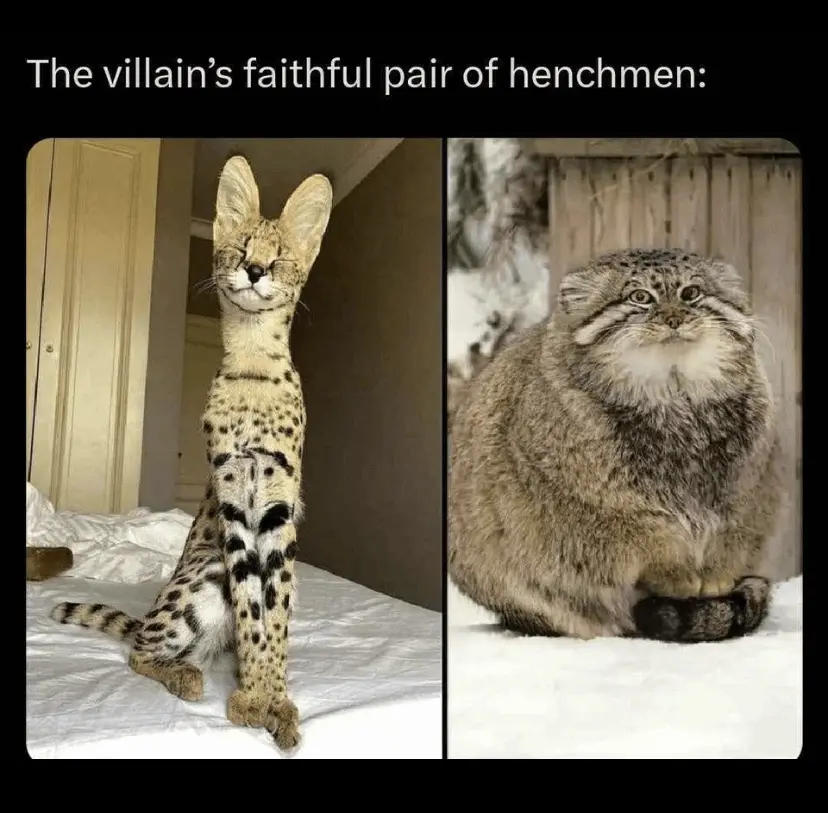 The Tale of Rosencrantz and Guildenstern